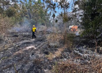 Secretaria de Meio Ambiente e Brigada Municipal atuam em incêndio de grandes proporções em José de Freitas