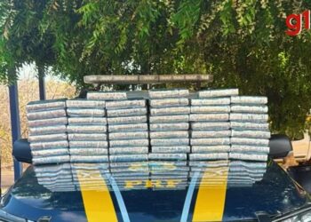 Cerca de 50 kg de cocaína são apreendidos e homem é preso em ação da PRF e Polícia Civil no Piauí