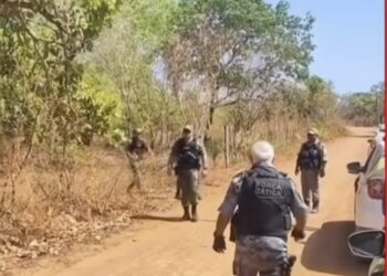 Policia desarticula casa abandonada utilizada para desmanche de motos em Nazária