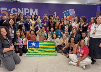 Piauí participa da Plenária Final da 5ª Conferência Nacional de Políticas para as Mulheres