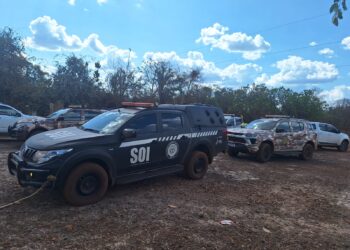 Polícia deflagra operação contra o tráfico de drogas em Lagoa Alegre e apreende drogas, dinheiro e veículos