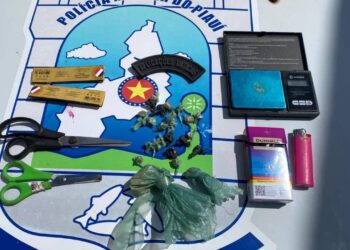 Polícia desmonta ponto de tráfico e apreende drogas e materiais em José de Freitas