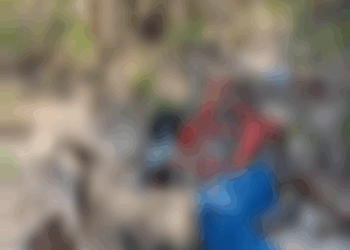 Corpo é encontrado ao lado de bicicleta na zona rural de José de Freitas