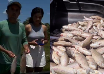 Proprietário do Sítio Lago Verde detalha prejuízo de mais de R$ 25 mil após mortalidade de peixes em José de Freitas