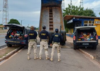 PRF apreende grande quantidade de maconha escondida em fundo falso de caminhão na BR-316, em Picos