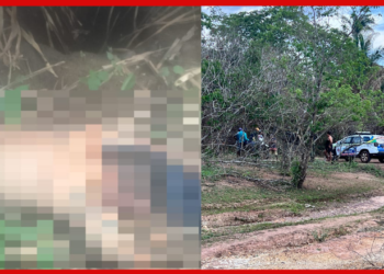 Corpo encontrado em mata na zona rural de José de Freitas