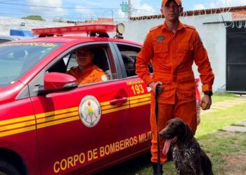Novo cão perito chega ao Piauí para atuar em operações de localização de corpos