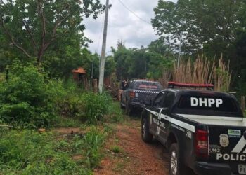 Irmão mata Francisco Henrique após briga familiar; DHPP investiga legítima defesa