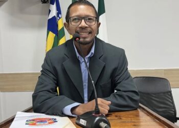Vereador morre após ataque de abelhas no Piauí